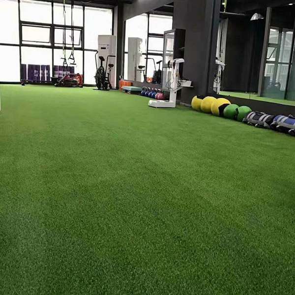 Thảm cỏ nhân tạo Badu tại phòng Gym