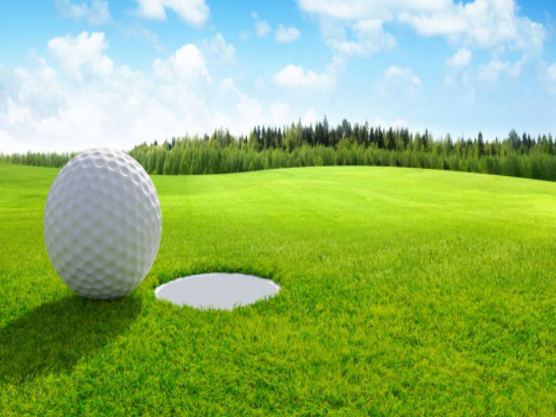 Cỏ nhân tạo sân golf dùng cho sân chơi golf trong nhà hoặc ngoài trời