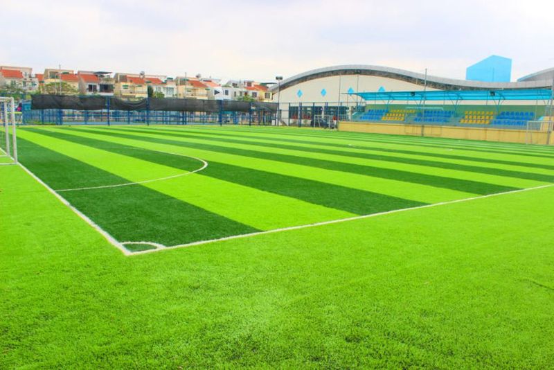 Sân bóng cỏ nhân tạo ở Biên Hòa được thiết kế hiện đại