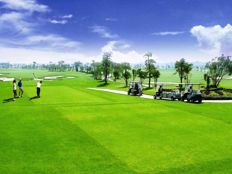 Cỏ nhân tạo dùng cho sân chơi golf có độ bền, tuổi thọ tương đối cao