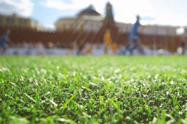 So sánh cỏ nhân tạo và cỏ tự nhiên - Đâu là sự lựa chọn hoàn hảo cho sân nhà?
