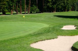 Các loại sân golf phổ biến hiện nay