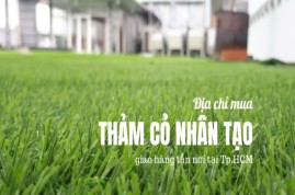 Thảm cỏ nhân tạo giá rẻ TPHCM và toàn quốc
